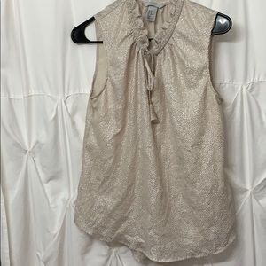 H&M Sheer, Shimmery Top